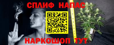 твердый Можга