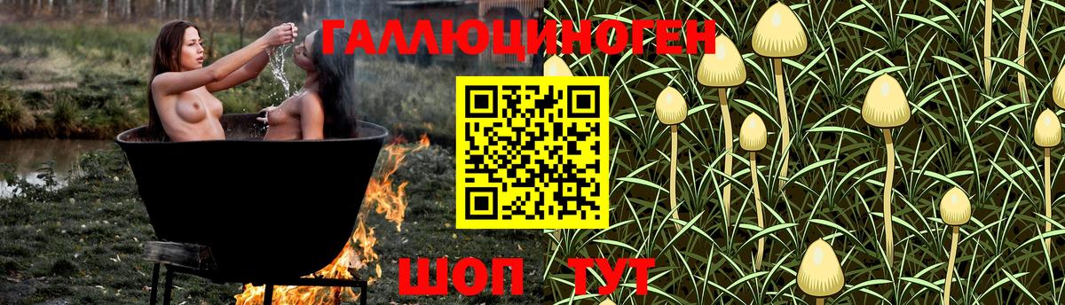 Псилоцибиновые грибы прущие грибы Югорск