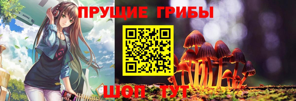 Югорск  Галлюциногенные грибы GOLDEN TEACHER  Псилоцибиновые грибы Cubensis  купить   Вход с VPN 